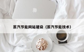 海宁蒸汽节能网站建设（蒸汽节能技术）